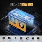 batería lifepo4 portátil 12 v 100 ah con bms – rvpozwer