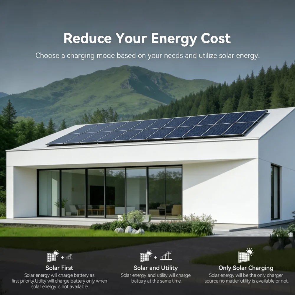 ECGSOLAX 24V 3KW Hybrid Solar Inverter 24V 120V - Imagen 2